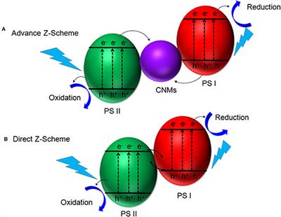 Carbon-Based Nanomaterials via Heterojunction Serving as Photocatalyst